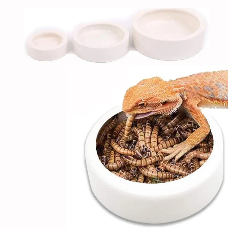 Pet Water Dispenser for Cats and Dogs  Automatic Water Storage Pet Food Bowl Food Container with Waterer Pet Supplies
